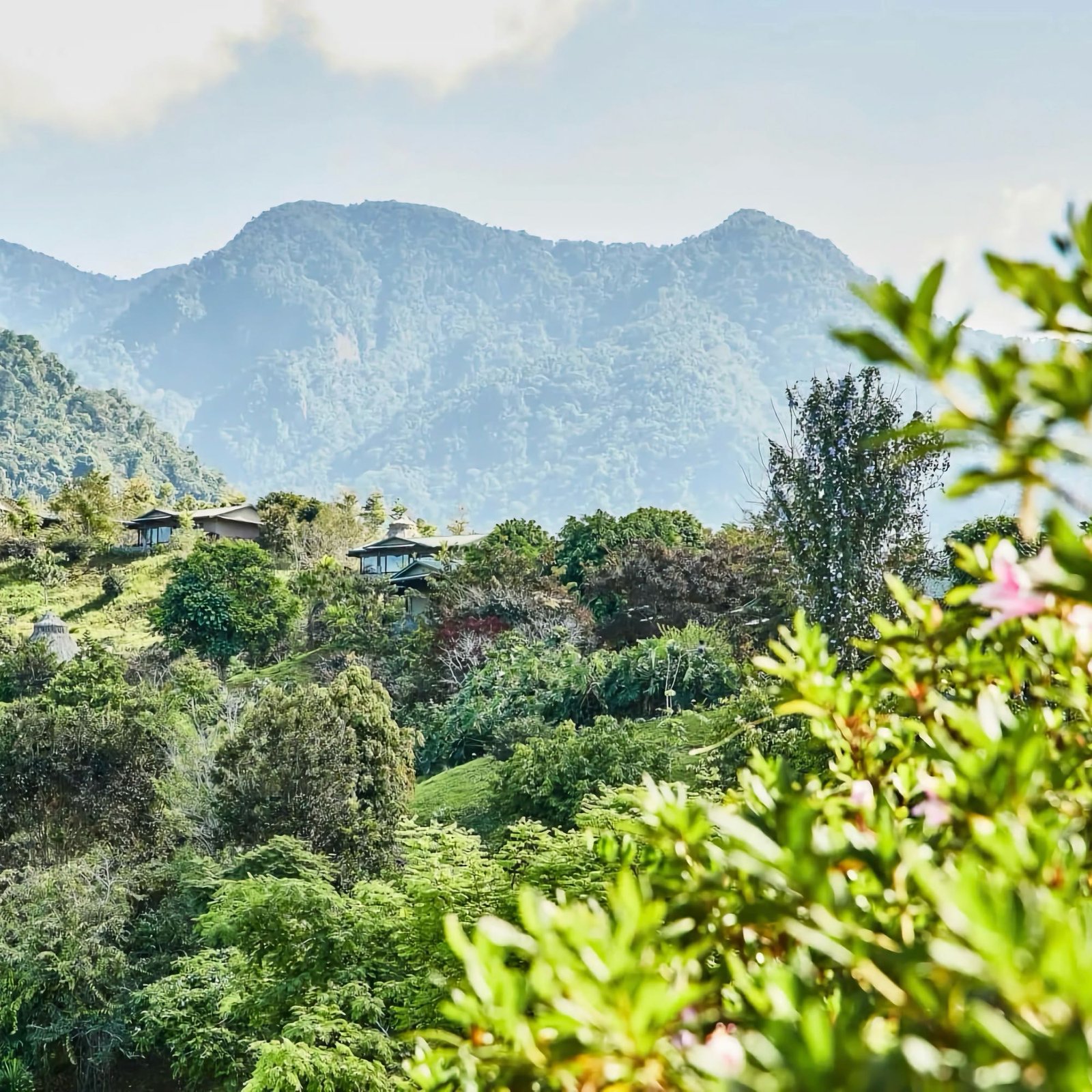 Winter Escape: Costa Rica’s Mountain Refuge for Deep Restoration