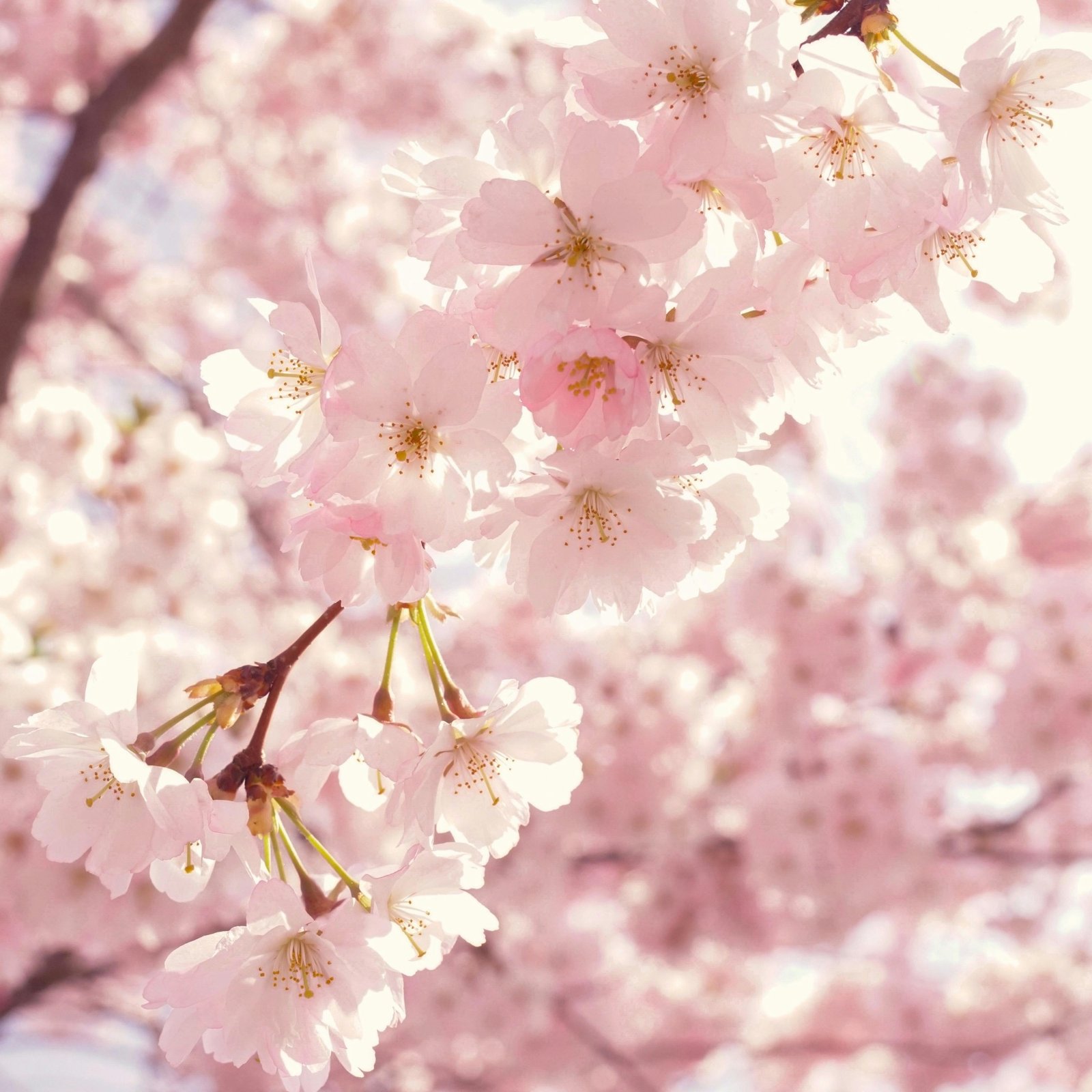 Season of Renewal: Knowing When Your Space Needs Change